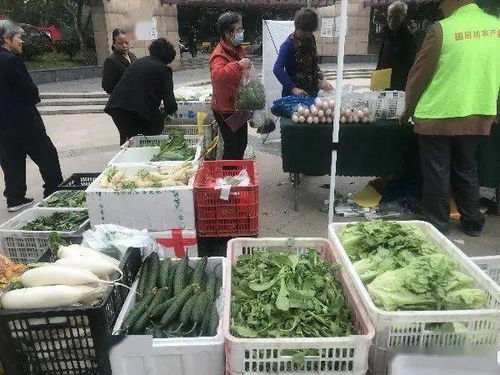 便捷與實惠并行 高品質農產品進社區，守護市民餐桌健康