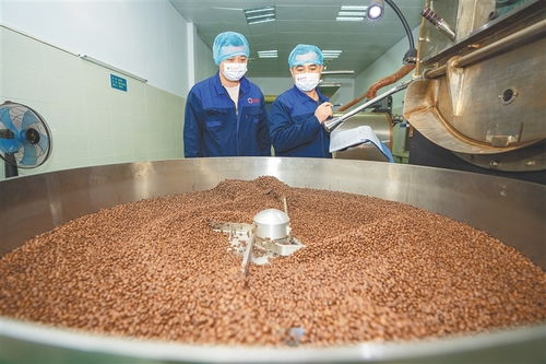 從田間到舌尖 海南農墾發力精深加工，讓土特產鏈上“新食尚”